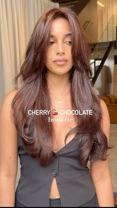 Hair Dye Brown Shades, Auburn Hair On Dark Hair, What To Dye Brown Hair, Penny Brown Hair, Chocolate Dye Hair, Cherry Brunette Curly Hair, Brown Hair Cherry Highlights, Cherry Chocolate Brown Hair Color, Red Brunette Hair Balayage