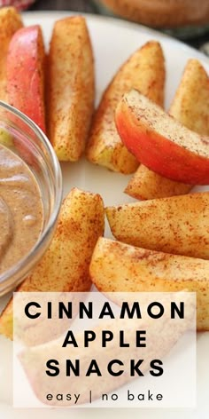 cinnamon apple snacks on a white plate with apples