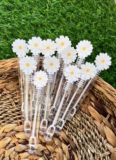 white daisies in clear vases on wicker basket with green grass behind them