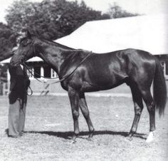 a man standing next to a brown horse