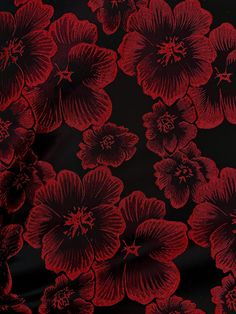 red flowers on black background with no image to describe in the bottom right hand corner