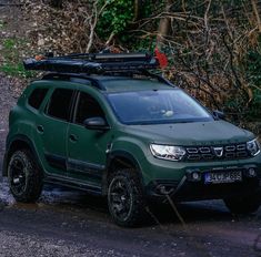 a green car with a surfboard on the roof is parked in front of some bushes