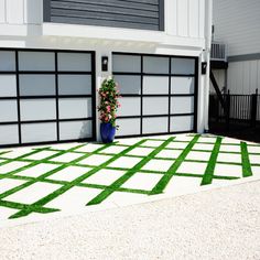 a potted plant sitting on top of a green grass covered ground next to a garage