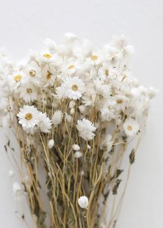 a bunch of white flowers sitting on top of a table