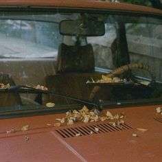 an old car with leaves on the windshield