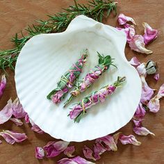 some pink flowers are on a white shell