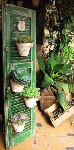 green shuttered door with plants in pots on it