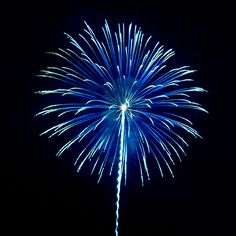 a blue and white firework in the night sky