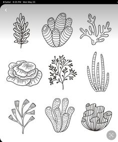 the different types of seaweed and corals are drawn in black ink on a white background