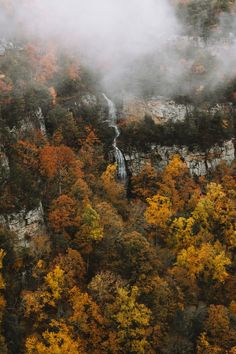 an aerial view of a waterfall surrounded by trees in the fall with yellow and red leaves