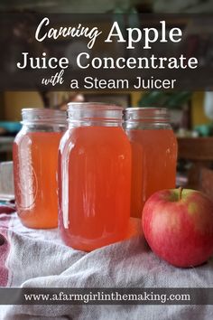 three jars filled with liquid next to an apple