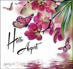 pink flowers and butterflies with the words hello august