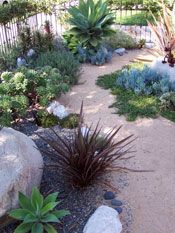 a garden with rocks and plants in it