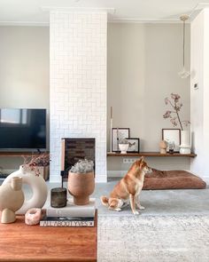 a dog is sitting in the middle of a living room with white brick walls and fireplace