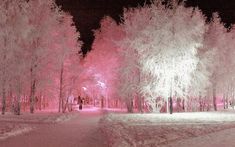 a person walking down a snow covered path at night with pink lights in the trees