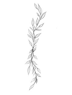 a black and white drawing of a branch with leaves