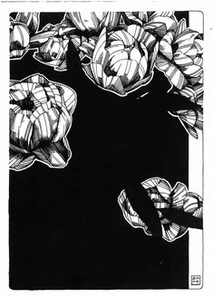 a black and white drawing of flowers