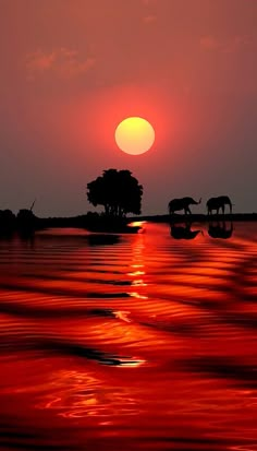 the sun is setting over some water with animals in it