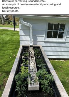 an outdoor garden with plants and rocks in the ground next to a white house on grass