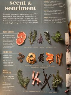 an open book with different types of spices and herbs on the pages, including rosemary, oranges, cinnamon sticks, peppermints, cloves, thyon spri