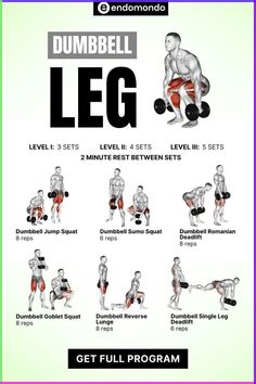 the dumbbell leg workout poster