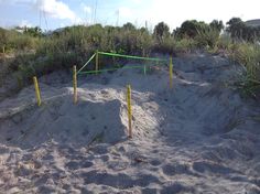 an empty volleyball court in the sand near some grass and bushes on a sunny day