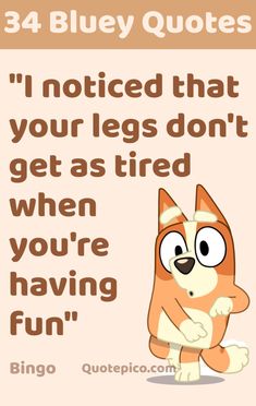 an orange and white cat with the caption saying, i noticed that your legs don't get as tired when you're having fun