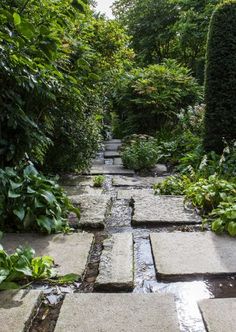 a stone path in the middle of a garden with water running between it and greenery on both sides