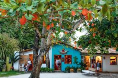 the blue house is surrounded by greenery and orange flowers, with people standing outside