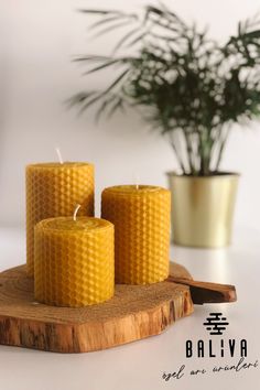 three beeswax candles sitting on top of a wooden board