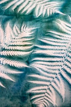 some white leaves on a blue background