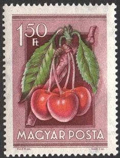 a postage stamp with three cherries and green leaves on the front, in pink