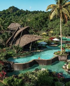 an outdoor swimming pool surrounded by palm trees and other greenery in front of a thatched roof hut