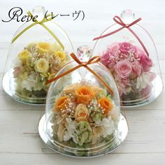 three glass domes with flowers in them