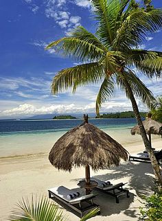 two lounge chairs under an umbrella on the beach with palm trees and water in the background