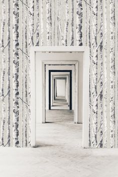 an empty hallway between two walls with trees on the wall and another room in the background