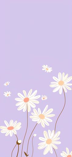 some daisies on a purple and pink background