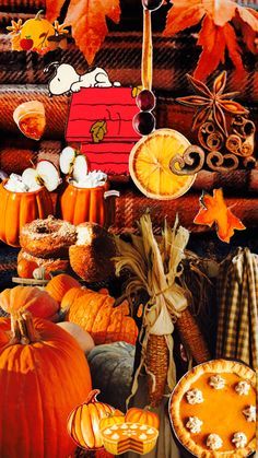 pumpkins, gourds and other autumn decorations