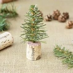 a small christmas tree in a wine cork holder with pine cones on the table next to it