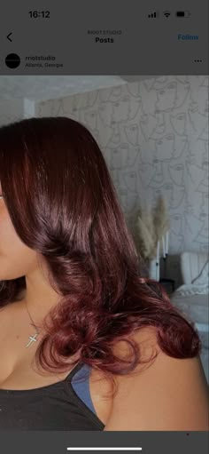 Auburn Burgundy Hair, Deep Auburn Red Hair, Hairstyle Suggestions, Deep Auburn, Auburn Red Hair, Hair Color For Dark Skin, Hair Expo, Highlights For Dark Brown Hair, Skunk Stripe