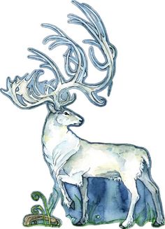 a drawing of a deer with antlers on it's head