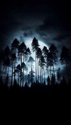 the full moon is shining in the dark sky behind some tall pine trees on a hill