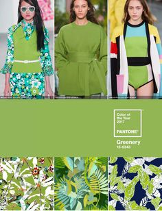 Pantone recently revealed their 2017 colour of the year. Already seen on the Spring/Summer 2017 catwalks, Greenery is a fresh and zesty yellow-green shade Pantone Green, Yellow Home Accessories, Color Trends 2017, Pantone 2017, Pantone Colour Of The Year, Art Stationary, 2017 Trends, 2017 Fashion Trends