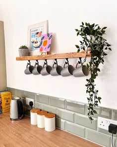 there is a potted plant on the shelf above the coffee mugs and toaster