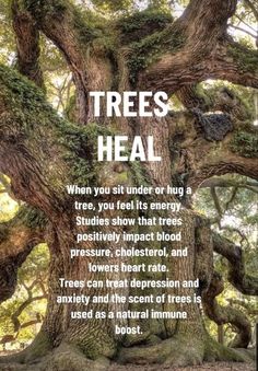 Natural Healing Remedies, Energy Healing Spirituality, Natural Health Remedies, Mental And Emotional Health, Nature Quotes, Holistic Healing, Health Facts, Natural Medicine, Empath