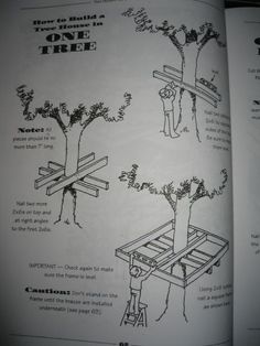 an open book with instructions on how to build a tree