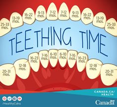 a poster with teeth and the words teething time written in blue on red background