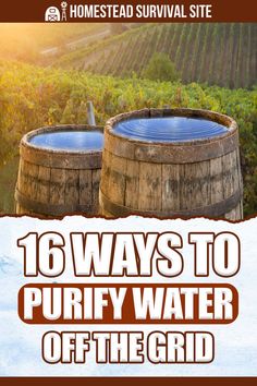 Purifying Water Survival, Purify Water Survival, Purify Water At Home, Solar Still Water Purification, Living Of The Grid Ideas, Ways To Collect Rain Water, How To Purify Water, Of Grid Living, Survival Water Filter