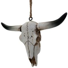 an animal skull hanging from a rope