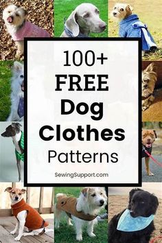 the top ten free dog clothes patterns for dogs with their names and pictures on them